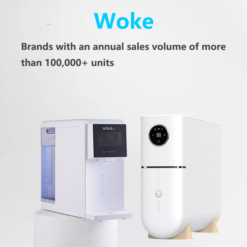 Brands with an annual sales volume of more than 100,000 units